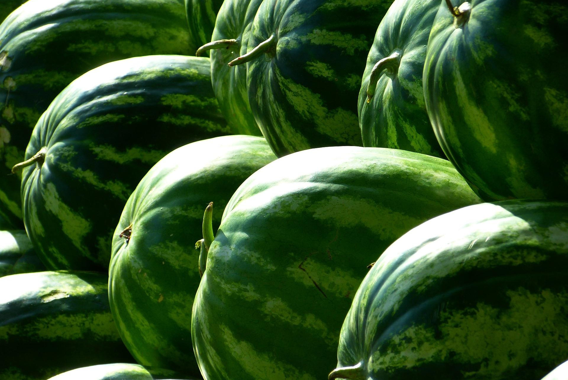 (FOTO) HIT NA DRUŠTVENIM MREŽAMA! Da li biste OD NJEGA kupili lubenicu?! 