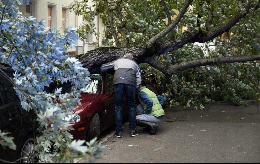 DRVO UBILO NOVINARA I SNIMATELJA: Do nesreće došlo dok su usred oluje izveštavali s terena