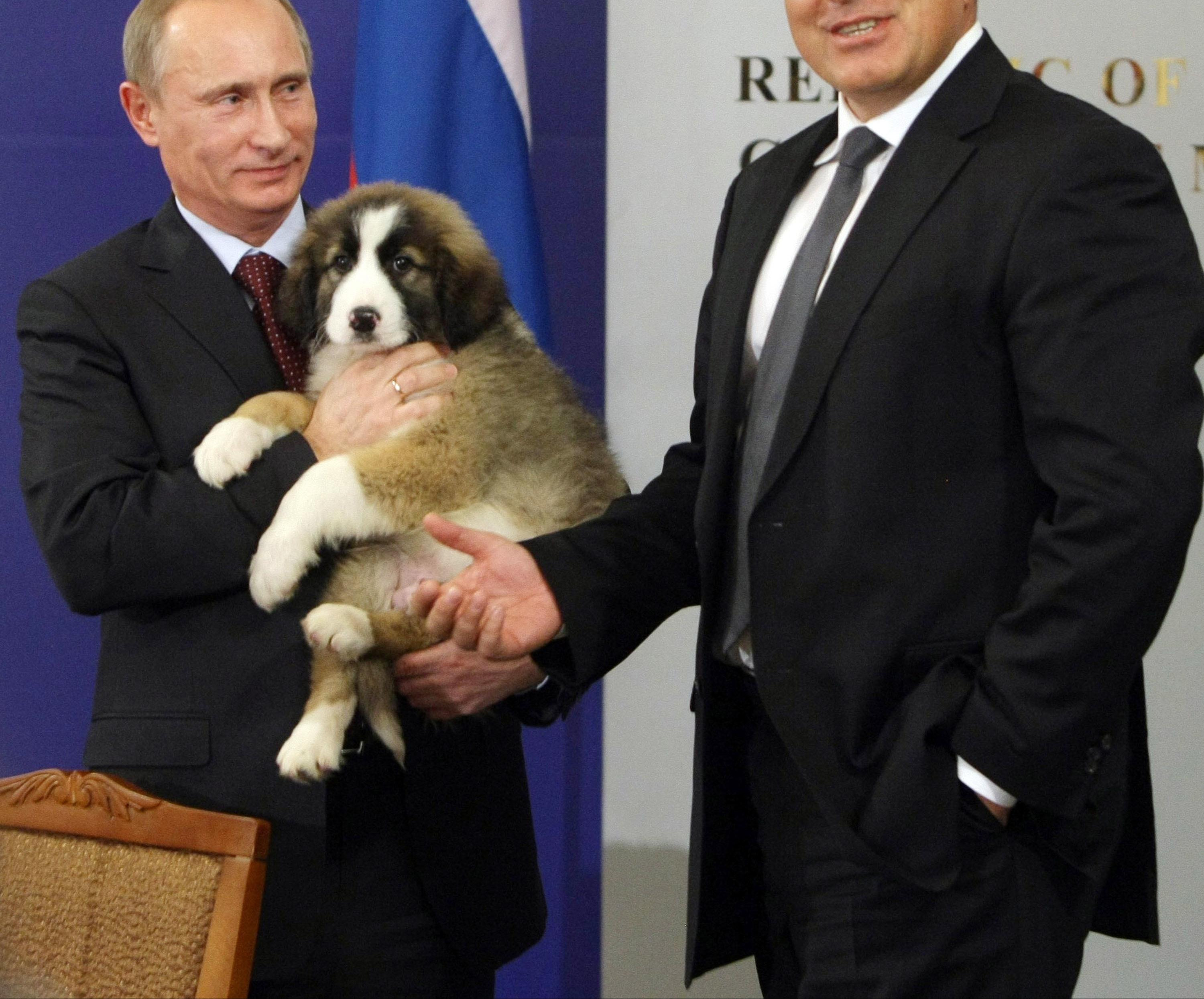 (HIT FOTO) POKLONU SE U ZUBE NE GLEDA! Vladimir Putin za rođendan dobio preslatko štene!