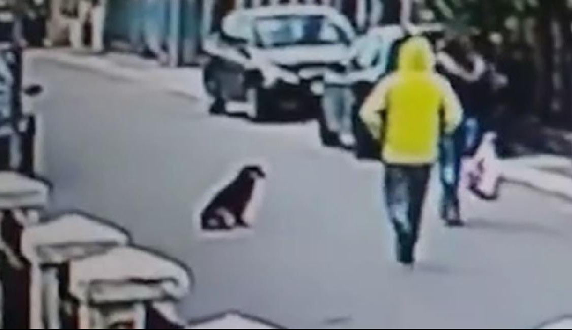 OVAJ VIDEO ZA 18 SATI POGLEDALO 8 MILIONA LJUDI! Crnogorku pas spasio od pljačkaša