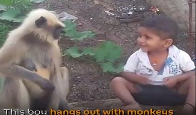 (VIDEO) NOVI TARZAN! Dečak živi sa majmunima