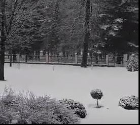 (VIDEO) LEDENI TALAS I NA CRNOGORSKOM PRIMORJU: Sneg pao i u Baru