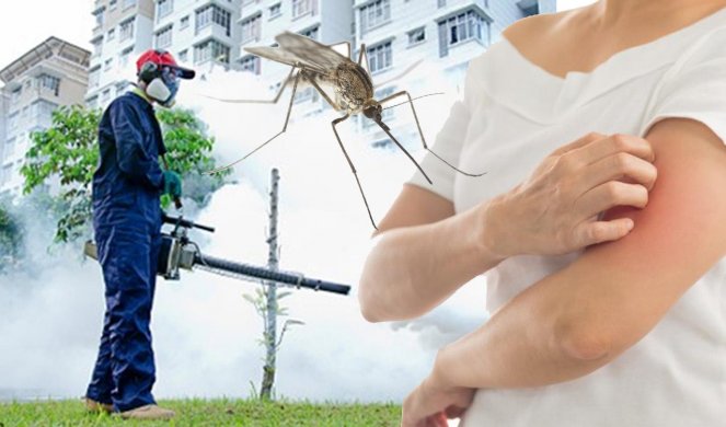 KAO RODE! Komarci prete novim i sve opasnijim zarazama!