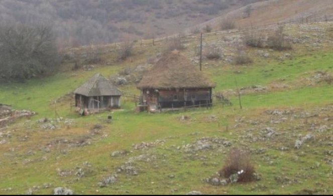 ZLOČIN NA PLANINI GILJEVA:  Žena ubijena dok je čuvala stoku u selu Goševo kod Sjenice!