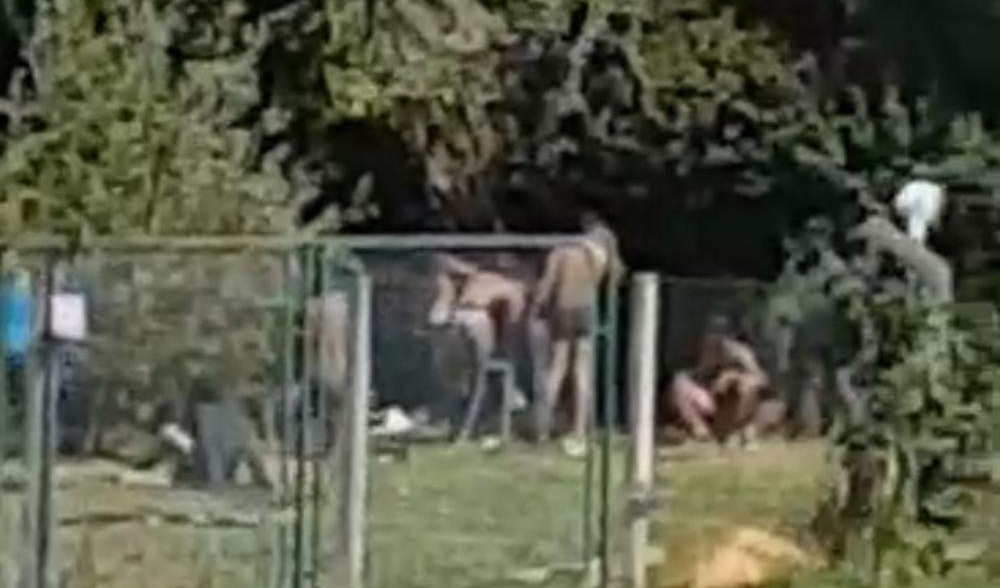 (VIDEO) SKANDAL U LOZNICI, GRAĐANI ZGROŽENI! Migranti na groblju napravili kamp, skidaju se goli i VRŠE NUŽDU PORED SPOMENIKA!