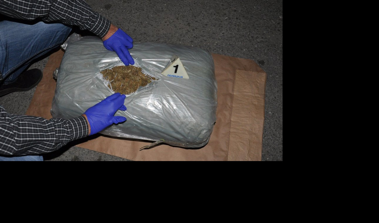 (FOTO) VELIKA AKCIJA MUP! Pali zbog 10,4 kila marihuane - policija uhapsila trojicu dilera!