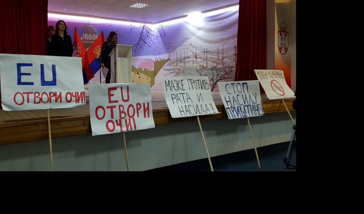 (FOTO) INFORMER NA KiM: UDRUŽENJE "PODRŽI ME" u Mitrovačkom dvoru ODRŽALO PROTEST PROTIV NASILJA PRIŠTINE!