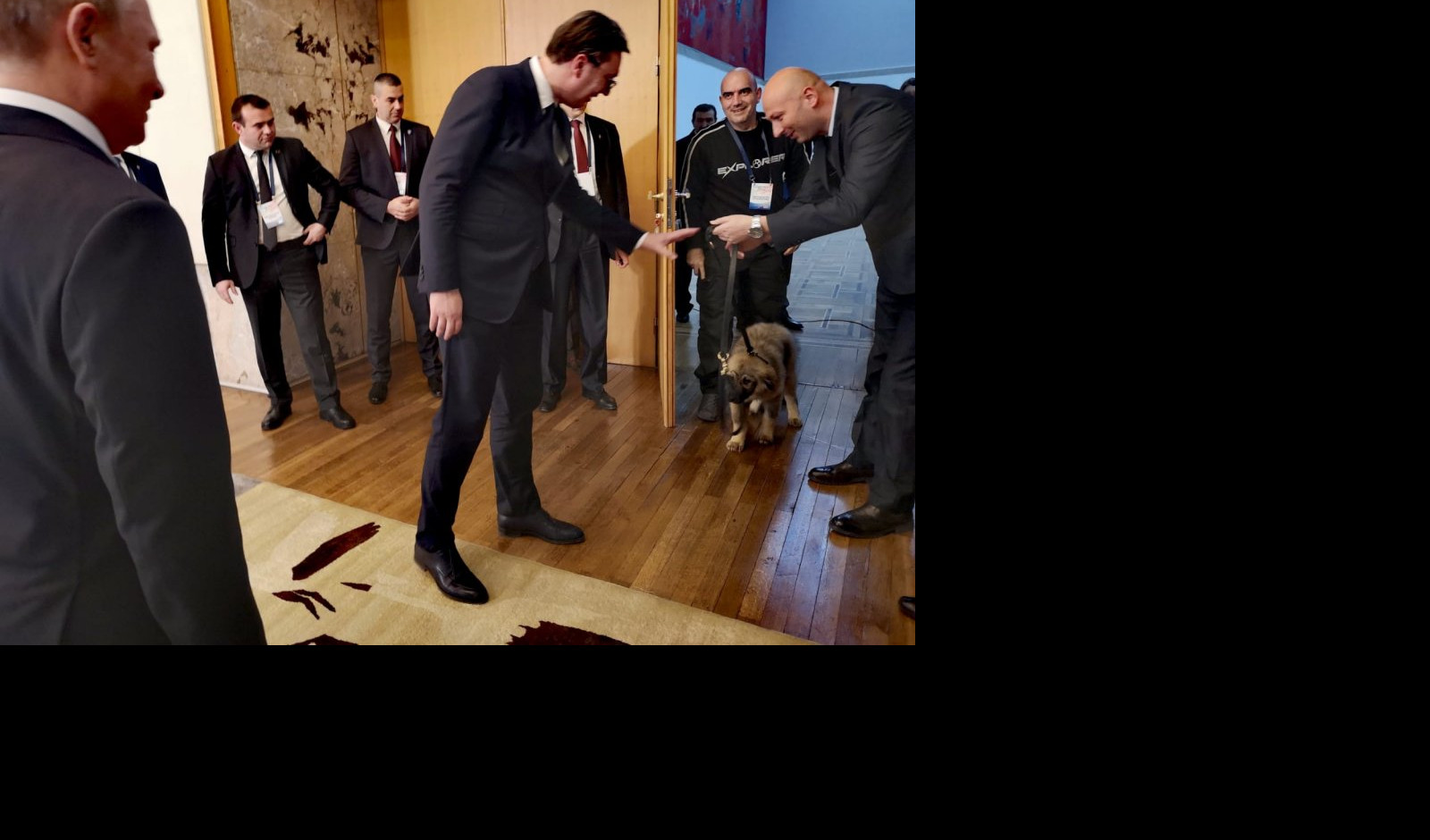 (FOTO) PRESLADAK SI, PAŠA! Putin upoznao svog novog ljubimca, šarplaninca kojeg mu je Vučić poklonio!