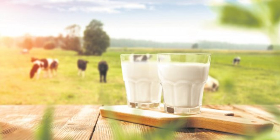 SEDAM ZNAKOVA DA STE NETOLERANTNI NA LAKTOZU! Izbacite mlečne proizvode i kilogrami će nestati!