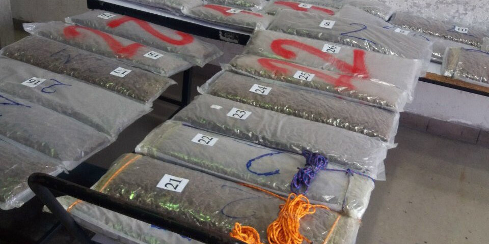 ZELENI SE HORGOŠ! Policija zaplenila više od 50 kg marihuane!