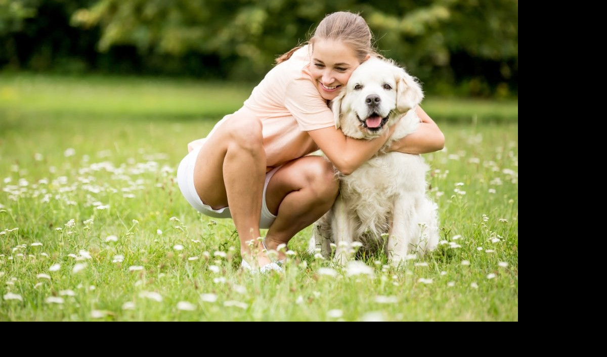 PET najčešćih problema u ponašanju pasa