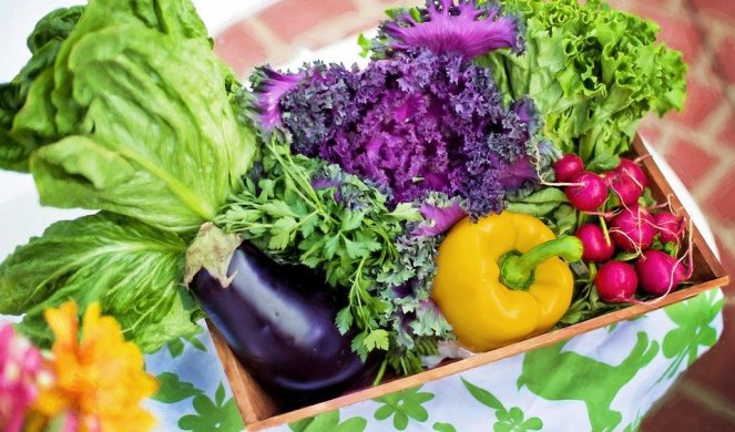 MOŽDA NISTE ZNALI! Zelena salata i kupus su zdravi, ali NE ZA SVAKOGA!