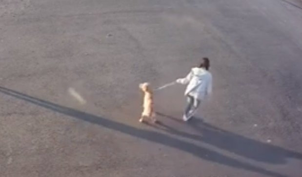 (UZNEMIRUJUĆI VIDEO) MUČNE SCENE POTRESLE BALKAN! Žalila se na pse lutalice, a onda je pred detetom krenula u MONSTRUOZAN PIR!