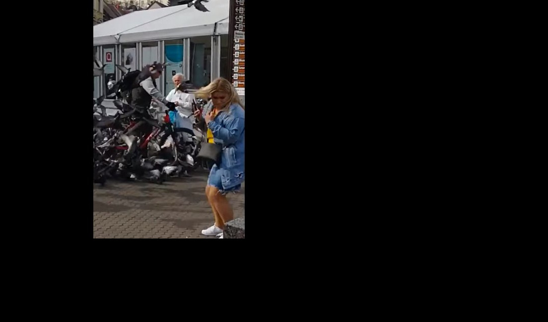 (VIDEO) UZNEMIRUJUĆI SNIMAK KRUŽI DRUŠTVENIM MREŽAMA! Biciklom naleteo na jato golubova!