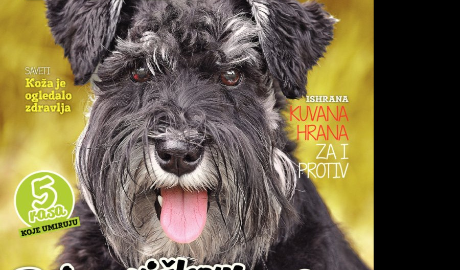 (FOTO) U PRODAJI je novi broj magazina „Pas“