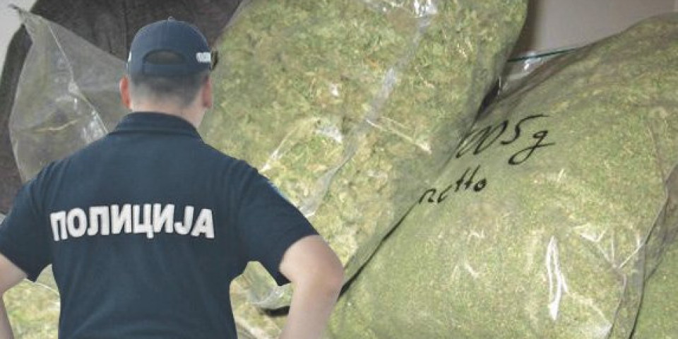 HAPŠENJE U NIŠU: Otkrivena laboratorija za uzgoj kanabisa, pronađeno više od 5 kilograma marihuane