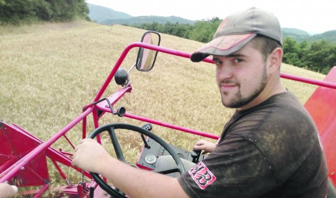 SVIMA ŽANJE ZA DŽABE! Mladi poljoprivrednik iz sela Vojkovci pod Rudnikom oživeo nekadašnju mobu