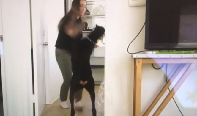 (VIDEO) SAMA SEBE ODALA! Influenserka tukla psa, pa snimak greškom postavila na svoj kanal!