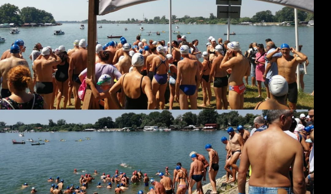 (FOTO) REKORDAN BROJ PLIVAČA! Održan četvrti Beogradski plivački maraton, Farkaš i Olas TRIJUMFOVALI!