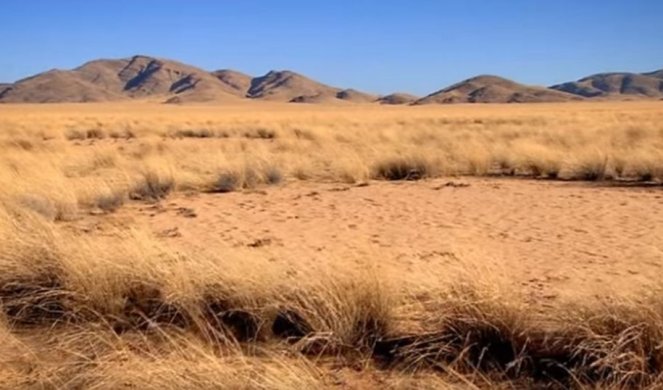 (VIDEO/FOTO) MISTERIJA VILINSKIH KRUGOVA! Kakvu tajnu krije najstarija pustinja na svetu?