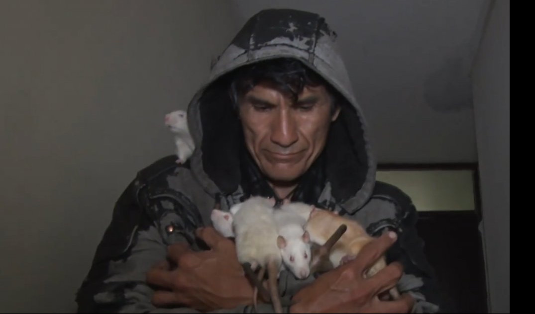 AKO IMATE JAK ŽELUDAC, ODGLEDAJTE OVAJ VIDEO! Čovek-pacov iz Perua živi s desetak glodara! (TV IN)