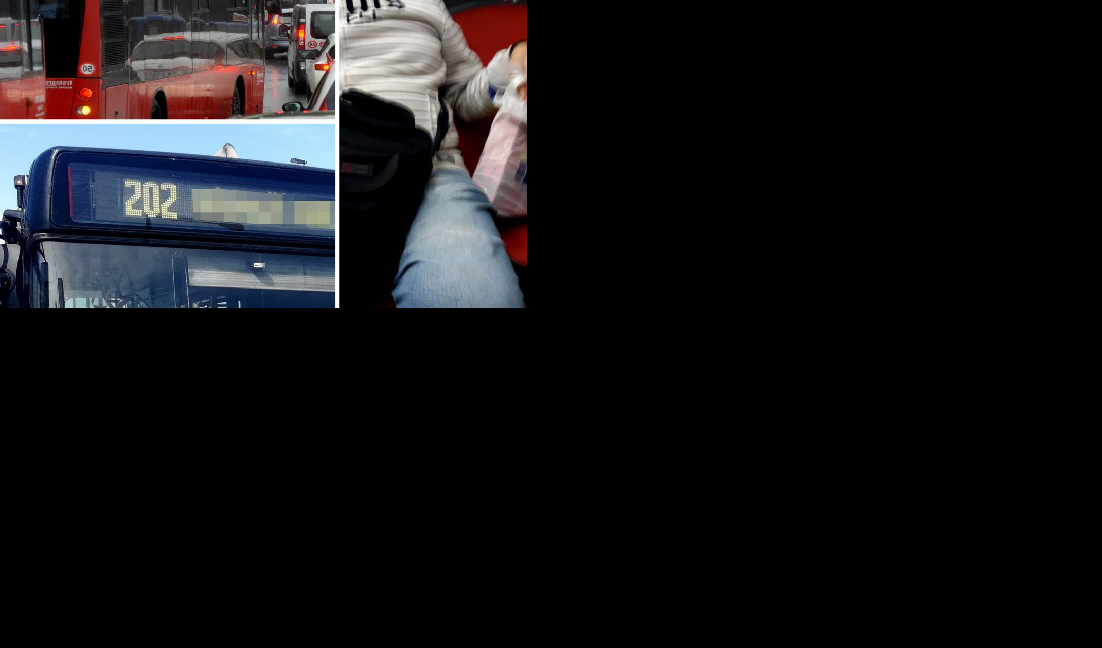 SRAMOTA! NAVIĐENA BAHATOST U AUTOBUSU GSP-a NA LINIJI 202 - Starica stoji, on drži kese na sedištu! (Foto)