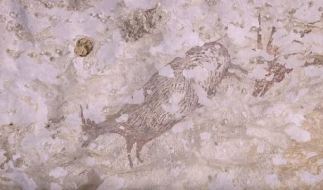 (VIDEO) OVO JE NAJSTARIJA PRIČA POZNATA ČOVEKU! U pećini pronašli crtež star 44.000 godina!