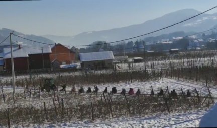KVAROVI NAPRAVILI HAOS! Skoro 1.800 domaćinstava u ivanjičkoj opštini bez struje zbog snega