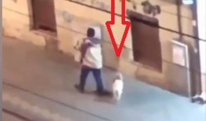 ŠOK SNIMAK IZ BEOGRADA TOKOM POLICIJSKOG ČASA! Muškarac izveo psa, a onda napravio SRAMAN POTEZ! (VIDEO)