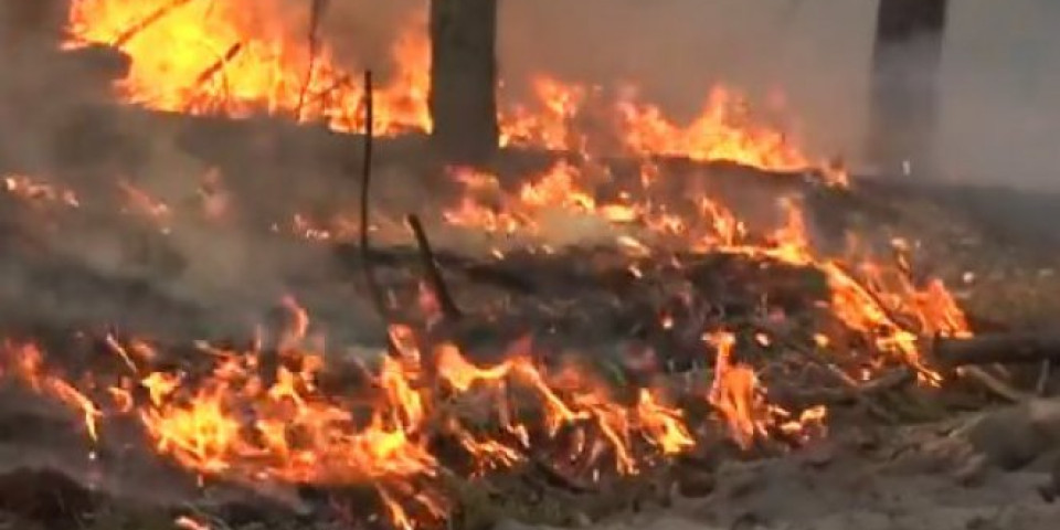 UNIŠTENA PLUĆA PLANETE! Za 24 sata u Amazoniji zabeleženo više od 1.000 požara (VIDEO)