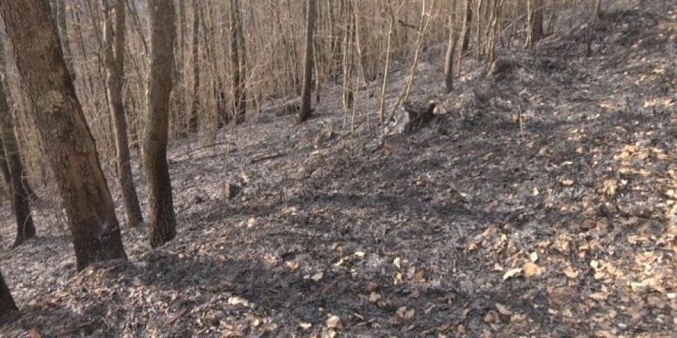(FOTO) POSLE DVA DANA UGAŠEN POŽAR KOD ARILJA Izgorelo više desetina hektara šume