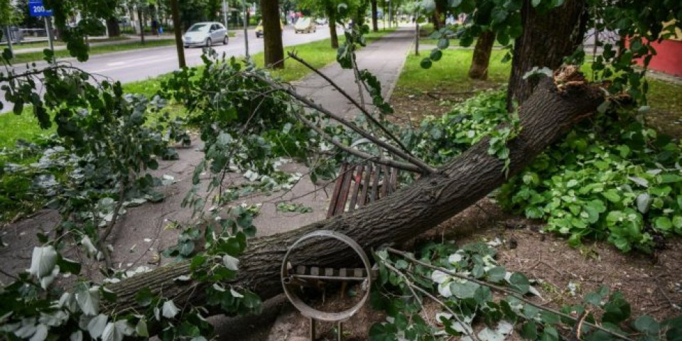 (FOTO) OLUJA NAPRAVILA HAOS U BANJALUCI: Drveće padalo kao pokošeno, vetar lomio i nosio grane, oštećen auto!