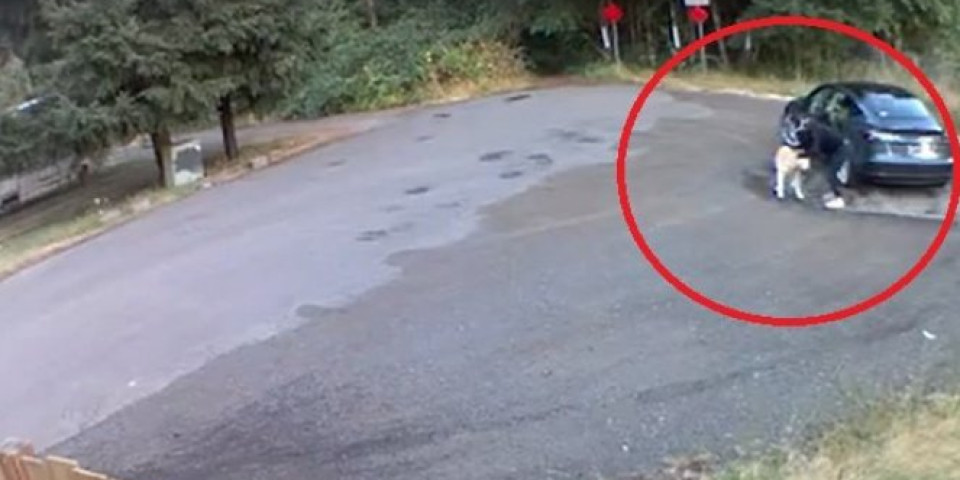 VIDEO KOJI SLAMA SRCE! Pas mahao repom, vlasnica sela u auto i ostavila ga!