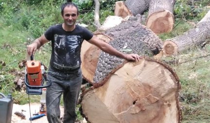 (FOTO) RADOSLAV OBARA ONO ŠTO DRUGI NE SMEJU: On je najhrabriji drvoseča, evo kako je posekao stablo visoko preko 40 metara!