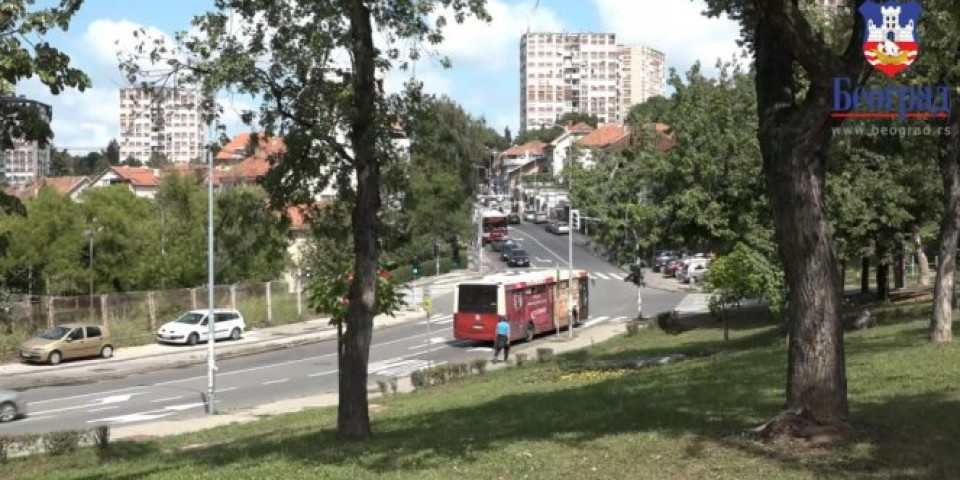 ZAKORAČITE SA NAMA U MILJAKOVAČKU ŠUMU I PROBAJTE VODU S NAJČISTIJEG IZVORA U GRADU! Dobrodošli u Moju azbuku Beograda!