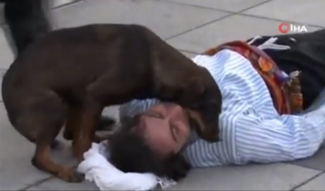 PAS ANĐEO - Ulični pas prekinuo predstavu da bi utešio glumca koji je glumio da je povređen