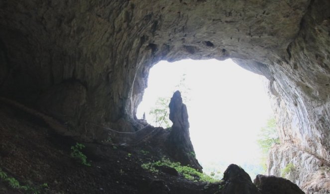 OTKRIVEN NAJSTARIJI CRTEŽ NA SVETU! Pećina skrivala sliku staru više od 45.000 godina! /VIDEO/
