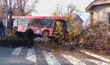 (VIDEO) HAOS U VALJEVU: Autobus van kotrole udario automobil, oborio drvo, ULETEO ČOVEKU U DVORIŠTE, PREVRNUO SE TIK DO KUĆE!