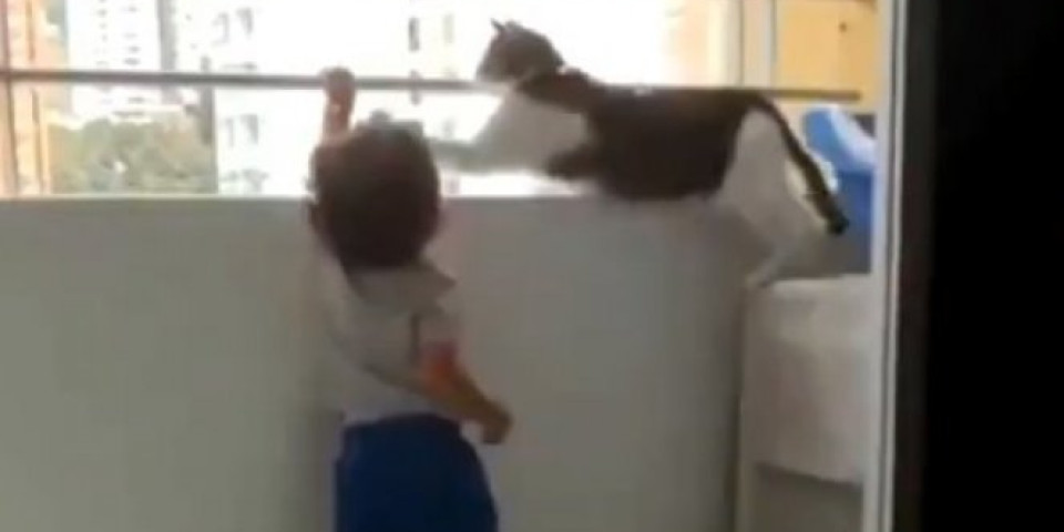 Otac snimao sina i mačku na terasi: U jednom trenutku, kamera je zabeležila NEVEROVATNU SCENU /VIDEO/