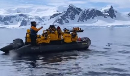 NEVEROVATAN SNIMAK! Pingvin se spasao od KITA UBICE skokom u čamac prepun turista! /VIDEO/