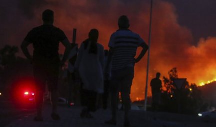 Požar na jugozapadu Turske pod kontrolom! Vatrena stihija koja je pretila elektrani je ugašena! /FOTO/