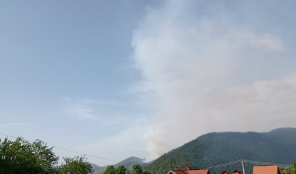 GORI ČETINARSKA ŠUMA NA TARI! Požar u Zaovinama izbio rano jutros, nepistupačan teren i jak vetar ometa gašenje!