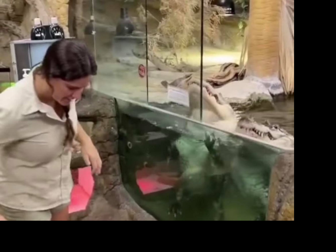 ZAMALO ONA DA ZAVRŠI KAO RUČAK! Ova devojka je hranila krokodile, ALI SU SE STVARI OTELE KONTROLI!