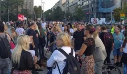MONSTRUMI ZASLUŽUJU NAJVEĆE KAZNE! Ljubitelji životinja održali protest u Beogradu