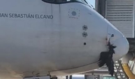 JEZIV INCIDENT PRI SLETANJU NA MADRIDSKI AERODROM! Avion udario u pticu, usledila drama koja je mogla da odnese desetine života! /VIDEO/