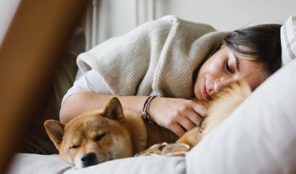ŠTA JE REIKI ZA ŽIVOTINJE? Veterinarka otkriva za Informer.rs kako ova tehnika može pomoći vašem psu!
