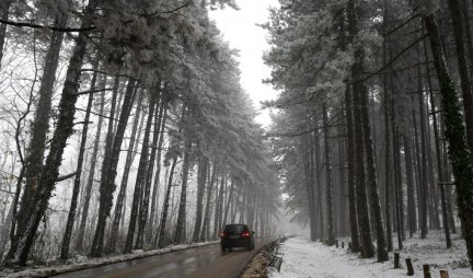 Zaleđeno stablo palo na automobil na Fruškoj gori, POVREĐENA ŽENA! Ipak, NJENA JE GREŠKA! Nacionalni park izdao HITNO SAOPŠTENJE!