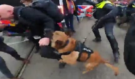 HOLANĐANI OGORČENI, KO ĆE DA ODGOVARA ZA OVO?! Demonstrant koga je izujedao policijski pas uhapšen, pa smešten u bolnicu, čeka se reakcija tužilaštva! (VIDEO)