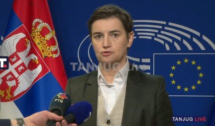 BRNABIĆ IZ BRISELA: Ne pronalazim Srbiju u izjavi Borelja o genocidu i ratnim zločincima! (Video)