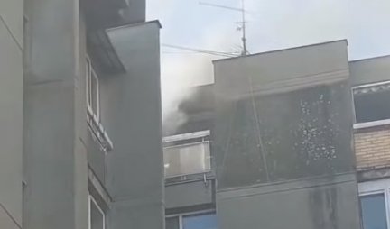 POŽAR U NOVOM SADU! Gori zgrada na Beogradskom keju